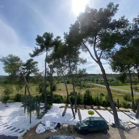 Design Vue Panoramique *